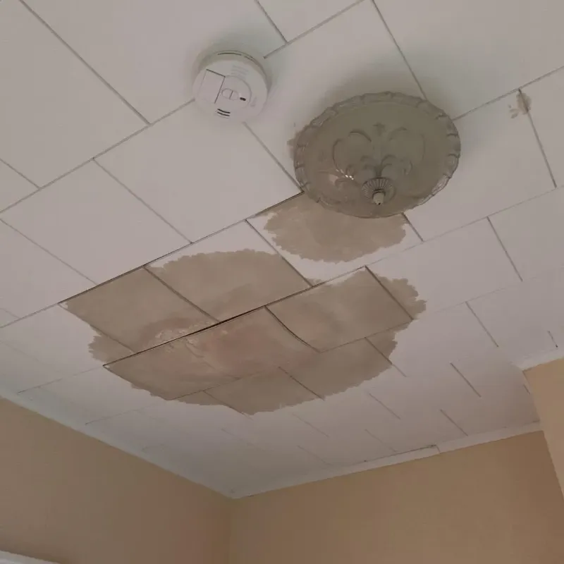 Ceiling Water Damage Repair in Churchill, OH