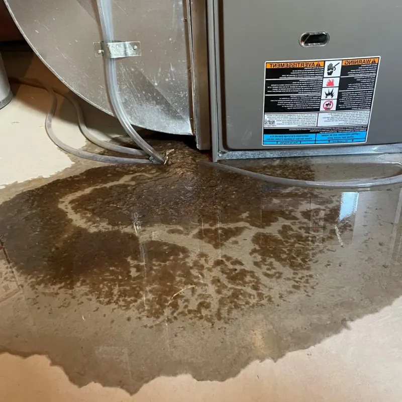Pipe Burst and Leak Restoration in Churchill, OH
