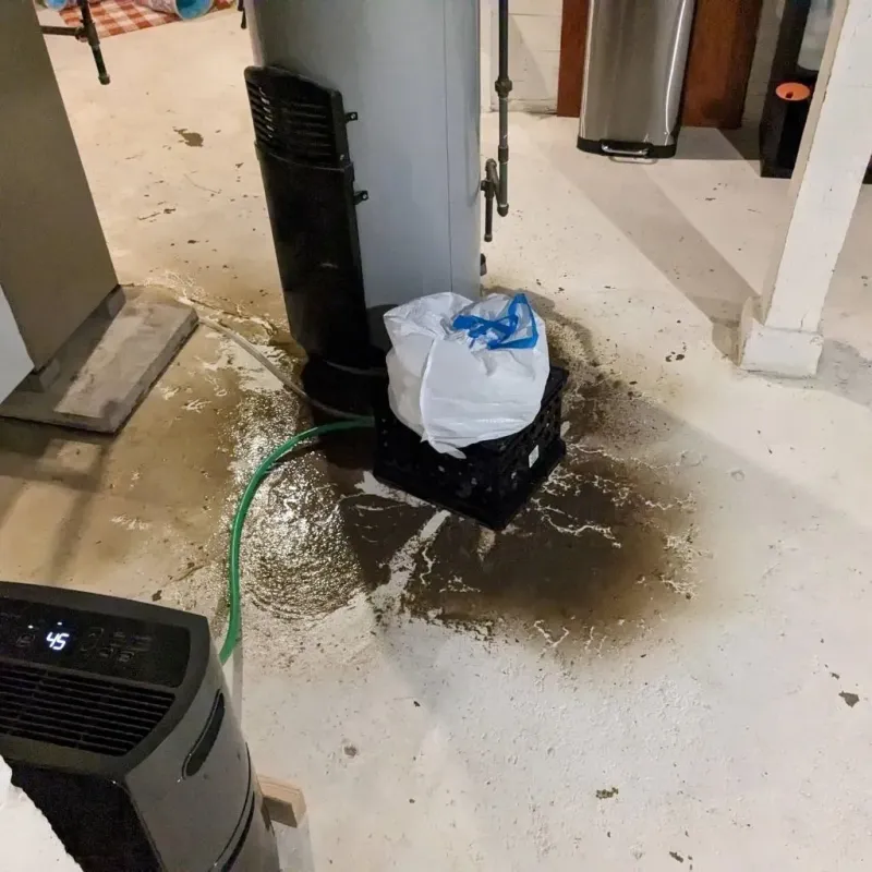 Sewage Backup Cleanup Service in Churchill, OH